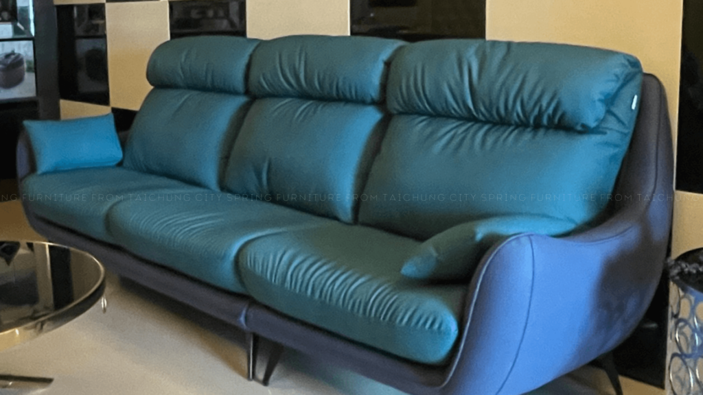 Thomas sofa_delivery photos_1